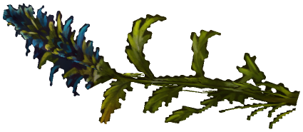 "Monster - Item, Flower - Long Blue"