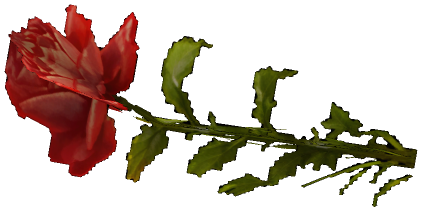 "Monster - Item, Flower - Rose"