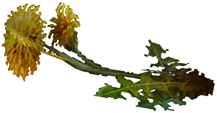 "Monster - Item, Flower - Yellow"