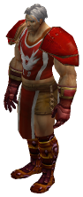 Commander Leder